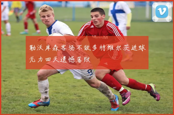 勒沃库森客场不敌多特维尔茨进球无力回天遗憾落败