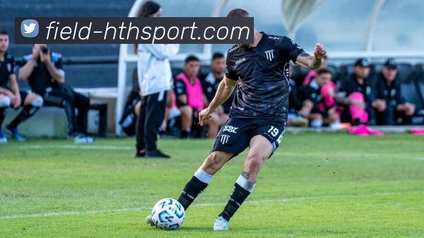 hth体育平台生态图